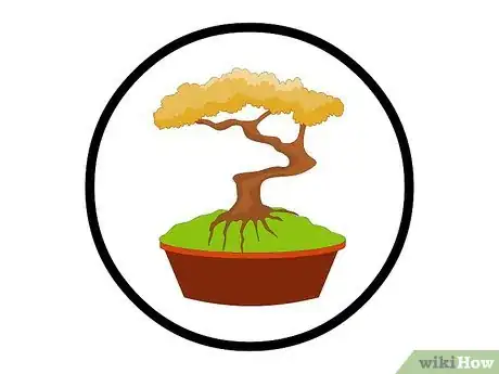 Image titled Repot Bonsai Trees Step 1