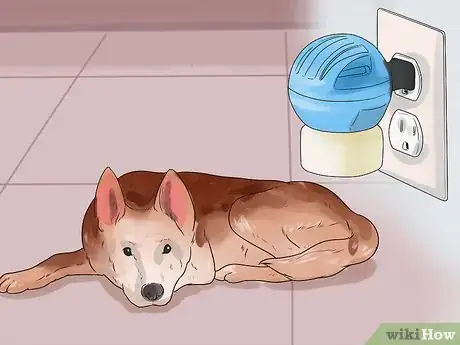 Image titled Make Your Dog Relax Completely Step 11