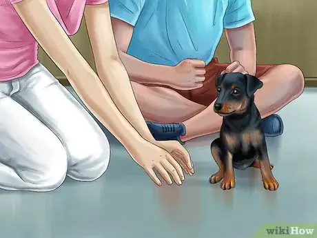 Image titled Care for Doberman Pincshers Step 9