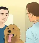 Make a Routine for Your Dog