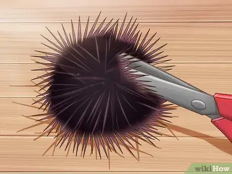 Image titled Cook Sea Urchin Step 2