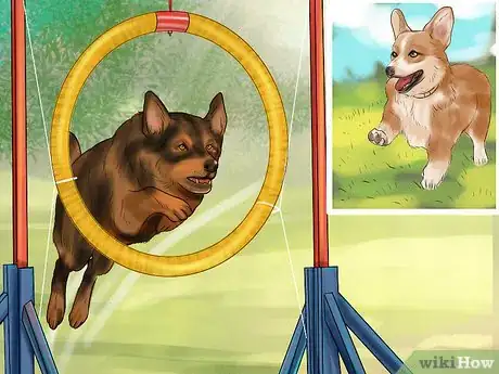 Image titled Design a Dog Agility Course Step 1