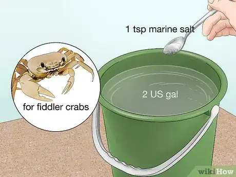 Image titled Look After Pet Crabs Step 4