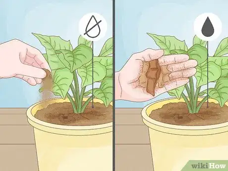 Image titled Revive a Plant Step 2