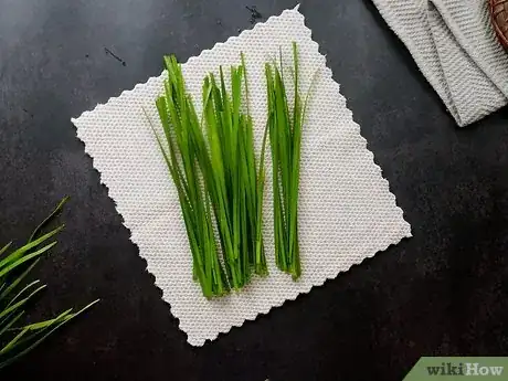 Image titled Freeze Dry Chives Step 4