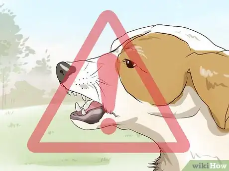 Image titled Keep Dogs in the Same House from Fighting Step 11