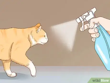 Image titled Help a Deaf Cat Step 7