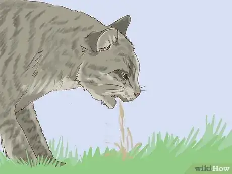 Image titled Spot Feline Diabetes Step 7