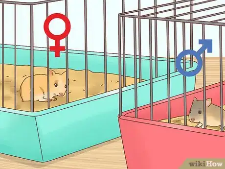 Image titled Care for Hamster Babies Step 19