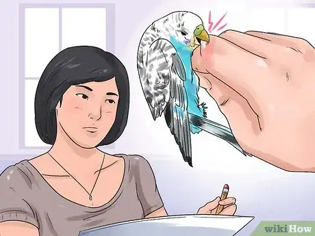 Image titled Stop a Budgie from Biting Step 1