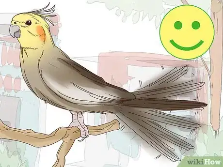 Image titled Understand Cockatiel Gestures Step 1