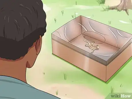 Image titled Catch a Lizard Without Using Your Hands Step 10