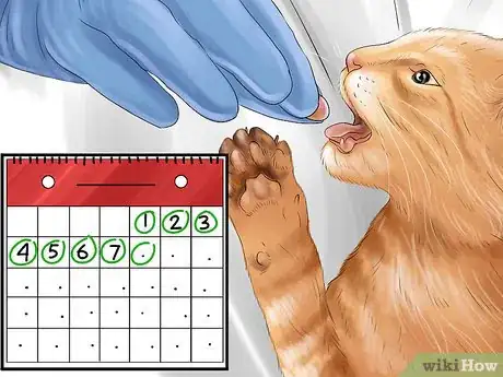 Image titled Give Amlodipine Besylate to Cats with High Blood Pressure Step 5