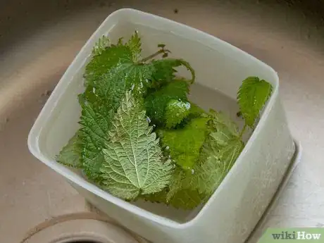 Image titled Make Nettle Tea Step 7