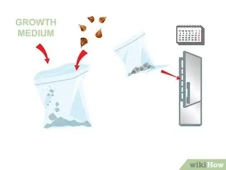 Image titled Start a Bonsai Tree Step 13