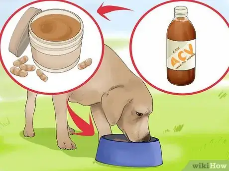 Image titled Use Apple Cider Vinegar for Dogs Step 6