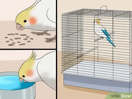 Image titled Train a Cockatiel to Talk Step 2