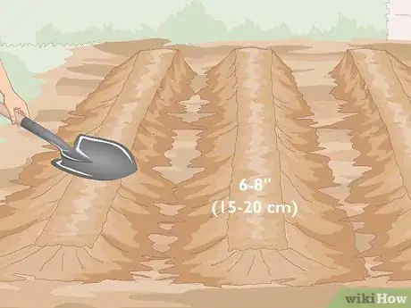 Image titled Prepare the Soil for a Vegetable Garden Step 14