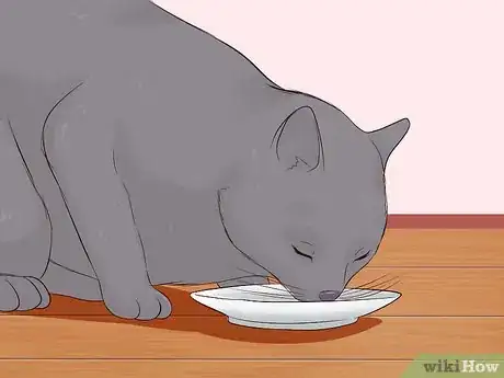 Image titled Give a Cat an Injection Step 1