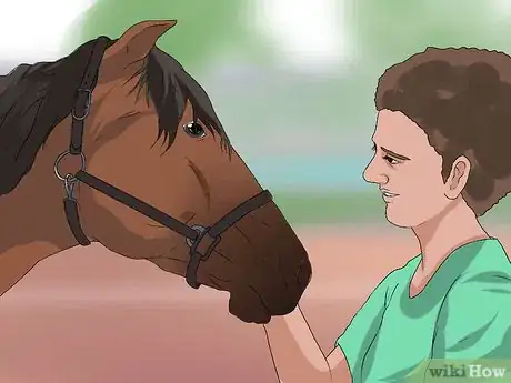 Image titled Put the Bit in a Horse's Mouth Step 11