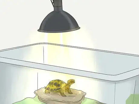 Image titled Make A Habitat for Hermann’s Tortoises Step 8