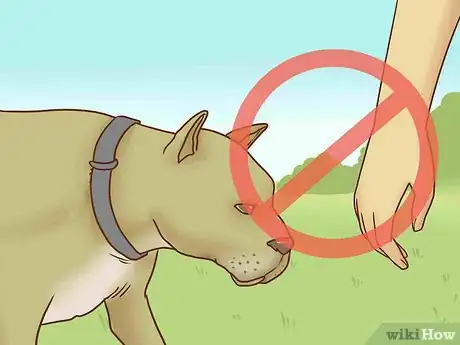 Image titled Get Your Dog to Stop Play Biting Step 11