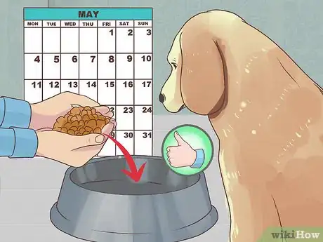 Image titled Manage Diabetes in Senior Dogs Step 4