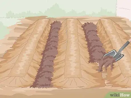 Image titled Prepare the Soil for a Vegetable Garden Step 15