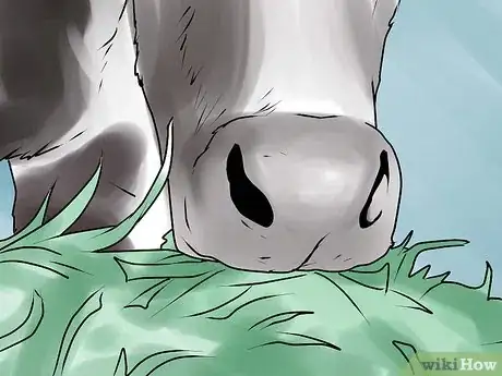 Image titled Keep a Milking Cow Step 4