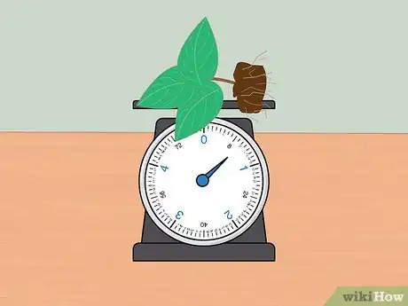 Image titled Measure Growth Rate of Plants Step 12