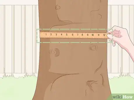 Image titled Measure the Diameter of a Tree Step 1