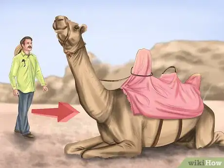 Image titled Ride a Camel Step 2