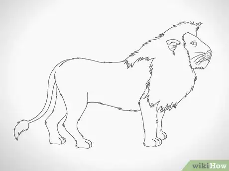 Image titled Draw a Lion Step 11