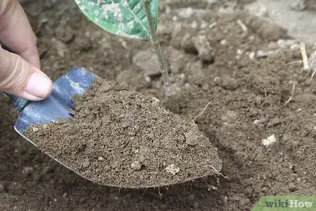 Image titled Make Clay from Indigenous Soil Step 1