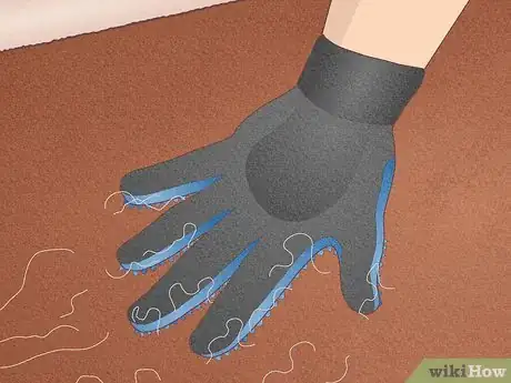 Image titled Remove Hair from a Carpet Without Vacuuming Step 11