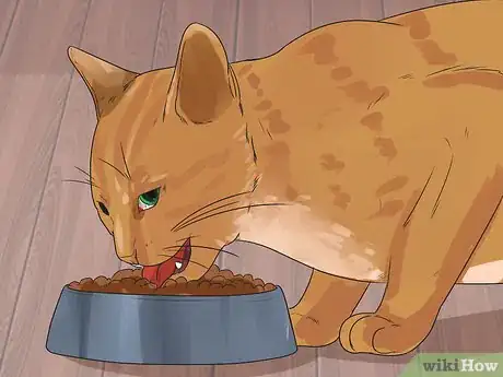 Image titled Treat Feline Cancer Step 10