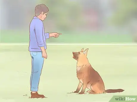 Image titled Choose a German Shepherd Puppy Step 3