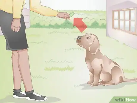 Image titled Teach Your Older Dog Basic Commands Step 1