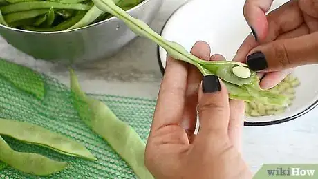 Image titled Freeze Broad Beans Step 1