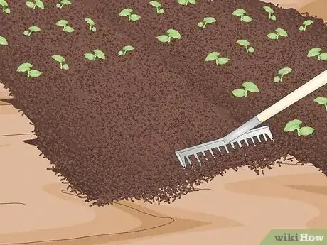 Image titled Replace Your Lawn with Groundcovers Step 11