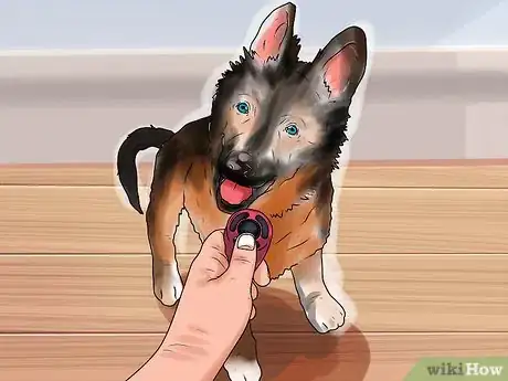 Image titled Train a German Shepherd Step 13