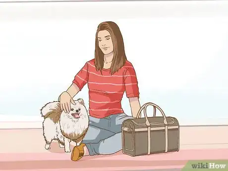 Image titled Get Your Dog to Ride in a Carrier Step 3