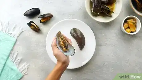 Image titled Eat Mussels Step 1