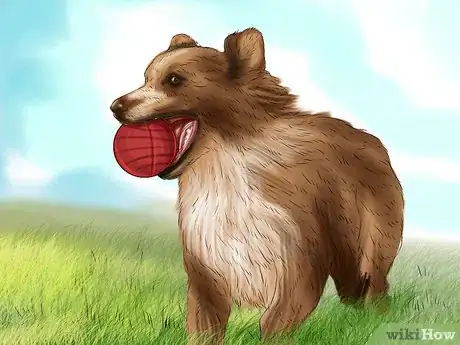 Image titled Identify an Australian Shepherd Step 10