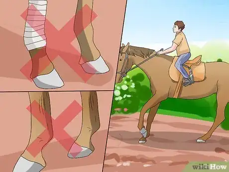 Image titled Make a Horse Run Faster Step 3