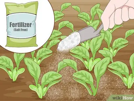 Image titled Reduce Salinity in Soil Step 12