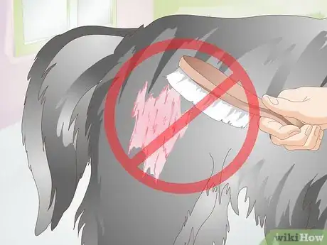 Image titled Brush Your Dog Step 11