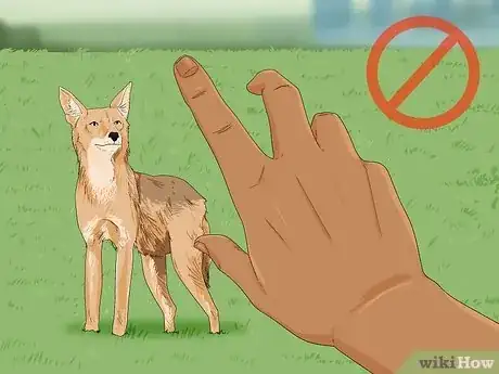 Image titled Deter Coyotes Step 12