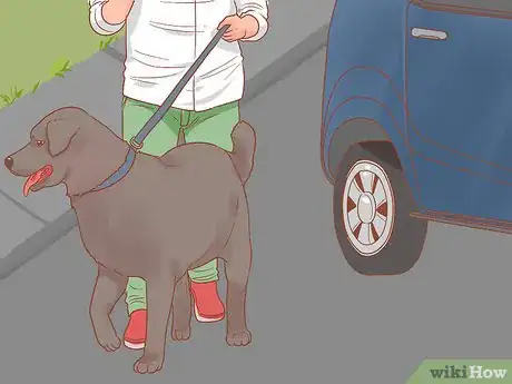 Image titled Travel by Car with Your Dog Step 10