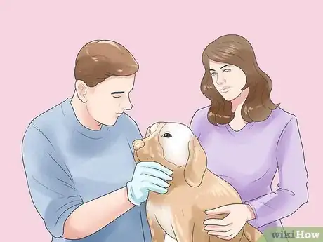 Image titled Treat Dog Bite Wounds on Dogs Step 11